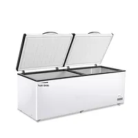 Réfrigérateur commercial à température unique Congélateur horizontal de grande capacité Fresh-Keeper avec processus de congélation à haute efficacité