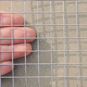 Factory Direct Sale of Low Carbon Steel Welding Mesh Square Hole for Fence Bird Prevention <b>Net</b> Welded Cutting Services Available - Product Image 2