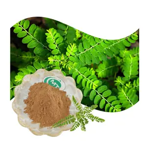 Natural Chinese Herb Manufacturer Supply Chanca Piedra Extract Phyllanthus Niruri Extract