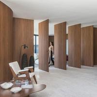 Modern Design Solid Wood Pivot Door Waterproof Interior Partition for Office & Living Room Customizable Finished 1 Year Warranty