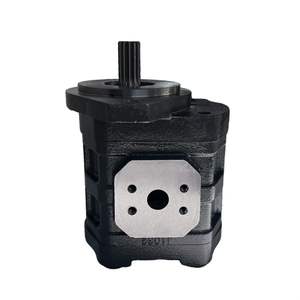 Bomba de Engranajes Hidráulica Nueva y Original de Alta Calidad CBGj1 para Maquinaria Agrícola de Construcción, Bombas de Aceite, 1 Año de Garantía - Product Image 1