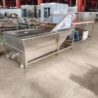 Machine professionnelle de lavage et de traitement du gingembre, haute efficacité, pour le nettoyage du gingembre et du curcuma