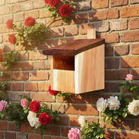 Robin House Half Cave Nid Box Enclos en bois Quadrate Bird avec motif solide Gap d'entrée Coupe-vent pour les éleveurs de demi-cavernes