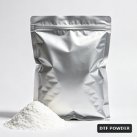 Perekat Bubuk Coplymide PA Hot Melt Berkualitas Tinggi DS211, Dapat Dicuci, 20kg MOQ, Putih, Untuk Perekat Kain Transfer Panas DTF