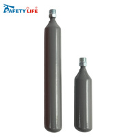 Cartouches de gaz CO2 portables 4g 8g 12g 16g 18g 24g 33g 38g 45g 50cc 60cc 88g Cartouche de CO2 pour soda pour le camping et les pique-niques