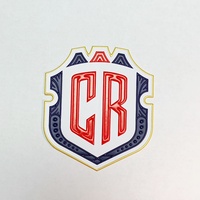 Insignias Personalizadas de TPU y PVC, Libres de Níquel, Termoadhesivas, Forma 3D Personalizada para Ropa Deportiva de Fútbol