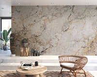 Panneau mural décoratif moderne en WPC imperméable à l'eau, motif marbre, pour utilisation en intérieur dans les hôtels