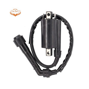 Araba motoru için yüksek kaliteli Autoparts ateşleme bobini 438A11-348B10 438A11348B10 - Product Image 1