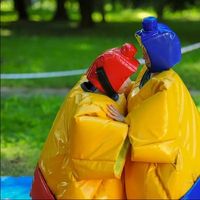 Costume de sumo Astérix et Obélix avec tapis pour adultes, vente en gros de lutte de sumo, fabricants de lutte de sumo