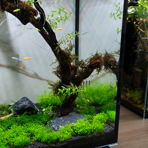 Relaxlines Boîte de filtre arrière créative Réservoirs de poissons en verre <span class=keywords><strong>Aquarium</strong></span> <span class=keywords><strong>Aquarium</strong></span> pour la décoration de la maison - Product Image 4