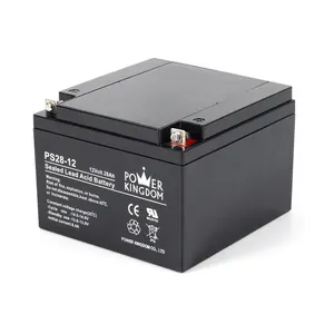 Powerkingdom 12v 28ah Sla Agm batterie scellée batterie au plomb pour UPS batterie d'outils électriques gratuite ABS Power Kingdom UL / CE / VDS