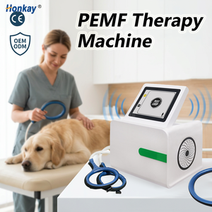 Appareil de stimulation magnétique de bureau à prix d'usine pour le confort articulaire et la réduction de la douleur – Dispositif de soin magnétique PEMF pour cliniques vétérinaires - Product Image 1