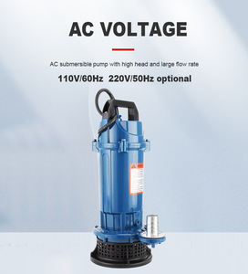 <span class=keywords><strong>Pompe</strong></span> à eau submersible 0,5 CV, 1 pouce, haute pression, haute levée, haut débit pour l'irrigation, la ferme, le jardin, la <span class=keywords><strong>piscine</strong></span>, l'eau propre, 220 V - Product Image 2