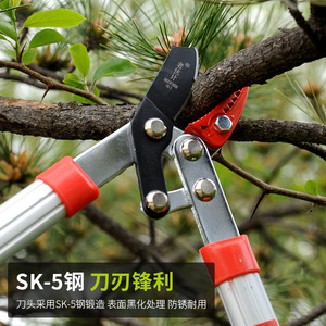Old Friend Lopping Shears Sk-5 Steel 20-30 Mm For Pruning Branches - Product Image 1