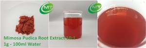 Mimosa Pudica kök kabuğu ekstresi Mimosa özü test için saf doğal ücretsiz örnek - Product Image 3