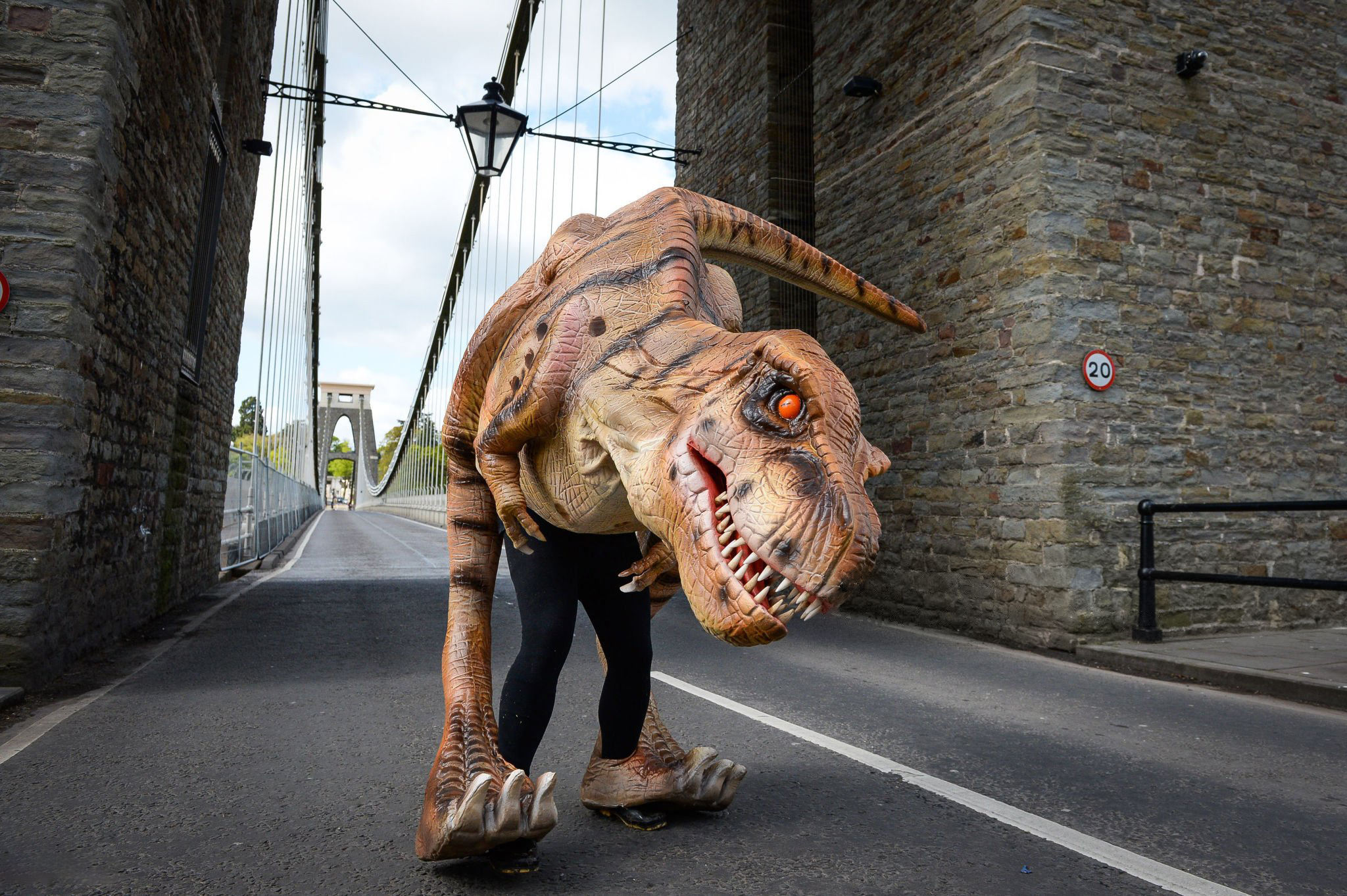 Colors can be customized1810ad