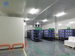 Grande chambre froide pour jambon cuit Pasteurisation de poisson Fonction de refroidissement par soufflage Noyau de roulement à engrenages de compresseur Copeland à énergie solaire - Product Image 5