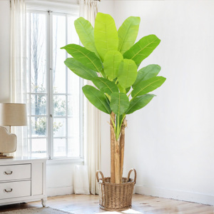 Style hawaïen grand bananier artificiel à trois tiges avec <span class=keywords><strong>intérieur</strong></span> extérieur fête de mariage en plastique bonsaï <span class=keywords><strong>plante</strong></span> - Product Image 2
