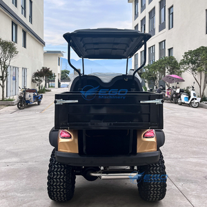Carrito de Golf de Gasolina Royal de 4 Plazas con Asientos Tipo Butaca, Certificado CE, Garantía de 2 Años, en Oferta - Product Image 4