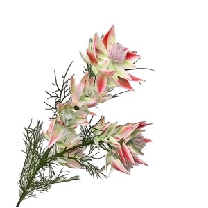 Oferta Especial: Protea Artificial de Seda Realista de 68 cm de Alta Calidad para Centros de Mesa de Boda, Año Nuevo y Eventos Nupciales - Product Image 1