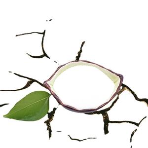 <span class=keywords><strong>2</strong></span>,<span class=keywords><strong>2</strong></span>-Dimethylol Propiomic Acid DMPA CAS 4767-03-7 - Product Image 2