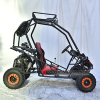 Dune Buggy avec Portes et Pédale 110cc Deux Places Go Kart Adulte Pas Cher