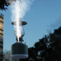 Humidificateur ultrasonique 2 en 1, diffuseur d'huiles essentielles et d'aromathérapie avec lumière LED pour la maison et le bureau