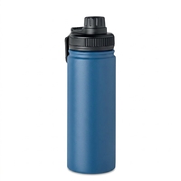 Nouvelles Idées de Produits 2026 – Bouteille d'eau isotherme promotionnelle en acier inoxydable de 530 ml avec paille pour la gym
