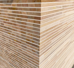 Tableros de Madera Contrachapada Duraderos de Pino Sólido, Álamo, Abedul Falcata, Cerezo, Roble y Teca con Superficie de Melamina para Muebles Escolares, Versátiles y Elegantes - Product Image 6