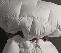 Couette en duvet de plumes d'oie 100% coton King Size 750 Fill Power Chaleur moyenne Insert de couette toutes saisons