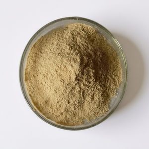 Polvo de Enzima Proteasa Alcalina para la Industria de Alimentos para Animales - Product Image 1