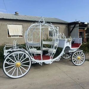 Venta de Autobús Turístico HKBG Retro Estilo Europeo con Diseño de Calabaza y Caballos, Velocidad de 30 km/h, Color Personalizado, Gran Éxito de Ventas - Product Image 5