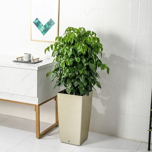 Maceta rectangular <span class=keywords><strong>de</strong></span> riego automático para balcón, maceta <span class=keywords><strong>de</strong></span> fresa, alféizar <span class=keywords><strong>de</strong></span> ventana, tira larga, maceta, caja <span class=keywords><strong>de</strong></span> plantación <span class=keywords><strong>de</strong></span> verduras - Product Image 2