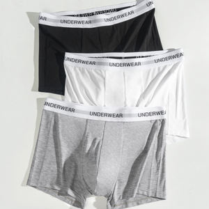 Celana dalam bagasi pria merek klasik abu-abu putih Logo pita elastis pakaian dalam pria 91% Modal mikro 9% Boxer spandeks celana dalam untuk pria - Product Image 4