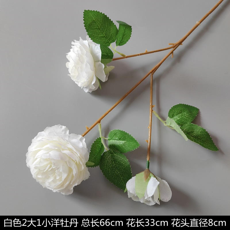 ดอกโบตั๋นต่างประเทศขนาดใหญ่2ดอกและดอกโบตั๋นขนาดเล็ก1ดอก