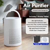 Mini purificateur d'air portable H13 HEPA Type-C 5W, purificateur d'air pour chambre de bébé, voiture, animaux domestiques, maison, élimine la fumée, les odeurs, la poussière, prend en charge l'ODM