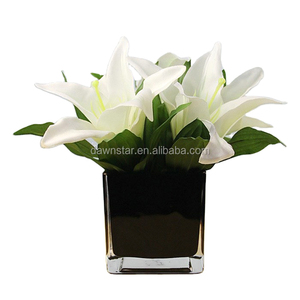 8x8 10x10 12x12 eleganti vasi di vetro a <span class=keywords><strong>fiori</strong></span> quadrati di colore bianco nero chiaro sfusi - Product Image 6