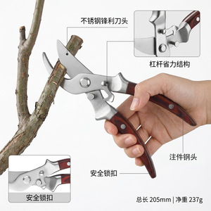 Tijeras de podar Pinheng Bypass de acero inoxidable de 20-30 mm, herramienta manual de jardinería para ramas de árboles frutales - Product Image 5