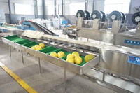 HUAGANG RVS Fruit- en Groente Sorteermachine met 9 sorteerstanden en een capaciteit van 7200 stuks/uur