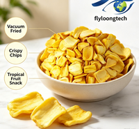 Vacuümgefrituurde Jackfruit Chips Natuurlijk Tropisch Fruit Knapperig Laag in Olie VF Jackfruit voor Retail Snack Mix en Snoepgoed