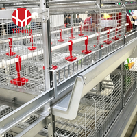Cage à poulets de chair de type H, automatique, 4 niveaux, avec plancher à lattes en plastique, abreuvoir à tétine, courroie de fumier, OEM, haute densité