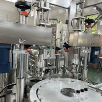 Machine de serrage de capsulage automatique de bouteilles pour les bouchons en plastique