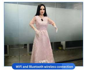 Robot Humanoide Inteligente de Recepción para Consultas Comerciales y Explicación de Productos, Suministro de Fábrica - Product Image 6