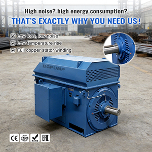 มอเตอร์ไฟฟ้าแรงสูง 6kV 560kw 630kw 710kw 800kw 900kw 1000kw มอเตอร์แรงสูง 1000 แรงม้า มอเตอร์เหนี่ยวนำไฟฟ้ากระแสสลับ - Product Image 2