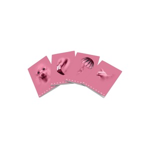 PIGNA - Quaderno Maxi Monocromatico Rosa A4, 38 Fogli a Righe, Assemblato - Product Image 1