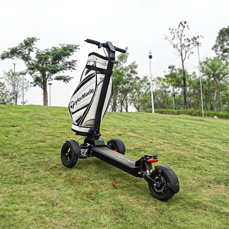 Ecorider 3 Wheels E7-3 Electric Scooter Golf Skate Stand up 48V Golf Escooter Three-wheel Scooter 1200w Brushless Hub Motor 13A