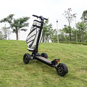 Ecorider skate scooter elétrico, de E7-3, 3 rodas, suporte para 48v, golf escooter, três rodas, scooter 1200w, sem escova, motor 13a