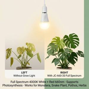 Kit per Coltivazione Indoor Intelligente con Lampadina LED E26 E27, Base a Vite e Timer per <span class=keywords><strong>Piante</strong></span> Monstera e Grandi <span class=keywords><strong>Piante</strong></span> in Vaso - Product Image 5