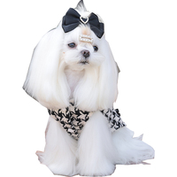 Vêtements de luxe de haute qualité pour chiot femelle, robe de princesse pour mariage, polyester moderne et durable