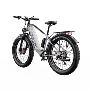 จักรยานไฟฟ้า DUOTTS F26 Lite ดีไซน์ทันสมัย ขับเคลื่อนด้วยมอเตอร์คู่ ส่งตรงจากคลังสินค้ายุโรป - Product Image 4